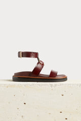 Chestnut