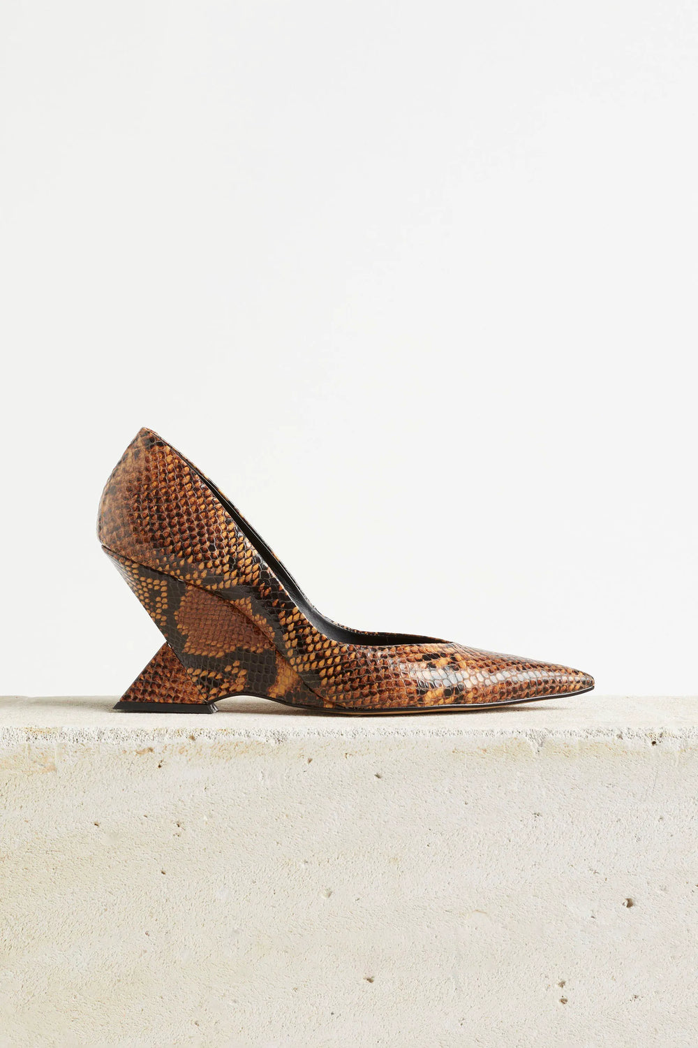 Tan Snake