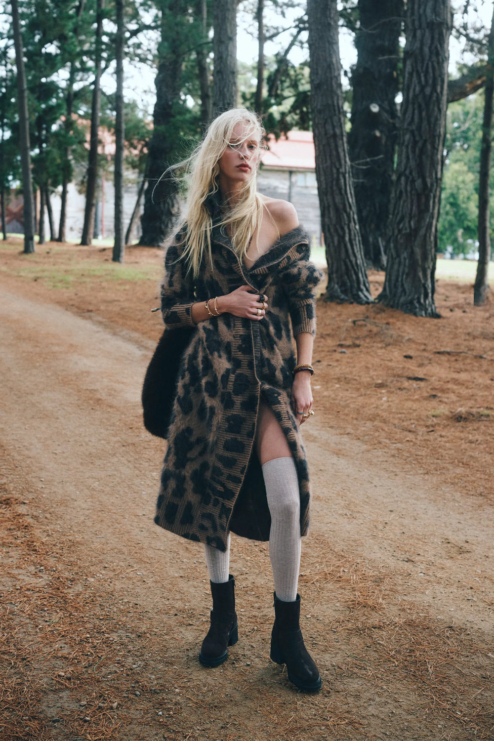 Leopard
